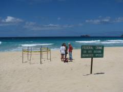 Original nest location, Pyramid Rock Beach, Kaneohe Marine Corps Base, Oahu HI